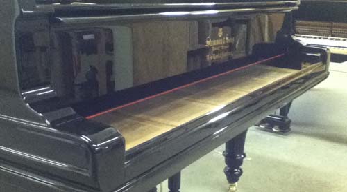 Van Dongen Piano Revisie