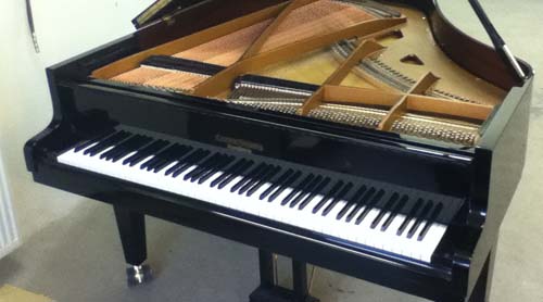 Van Dongen Piano Revisie