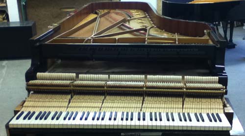 Van Dongen Piano Revisie