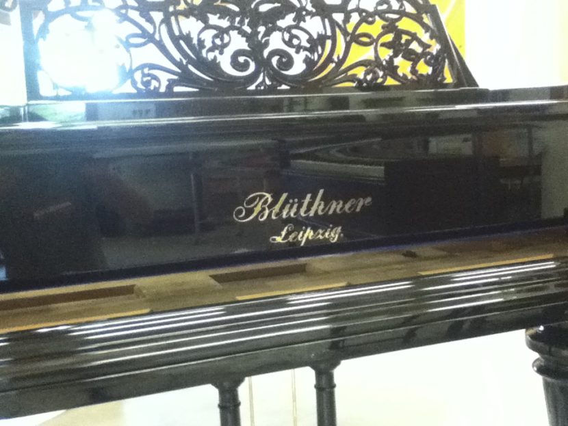 Blüthner polyester