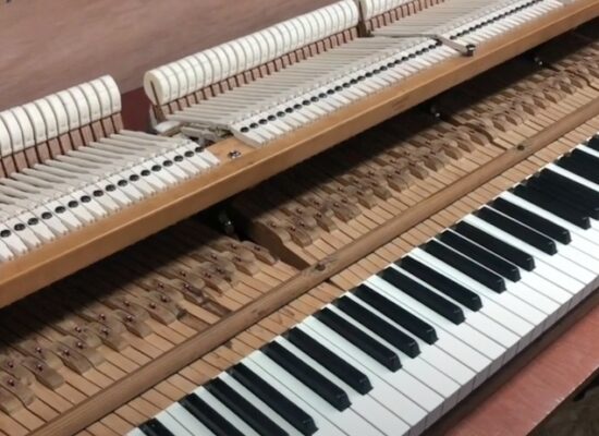 mechaniek bechstein revisie