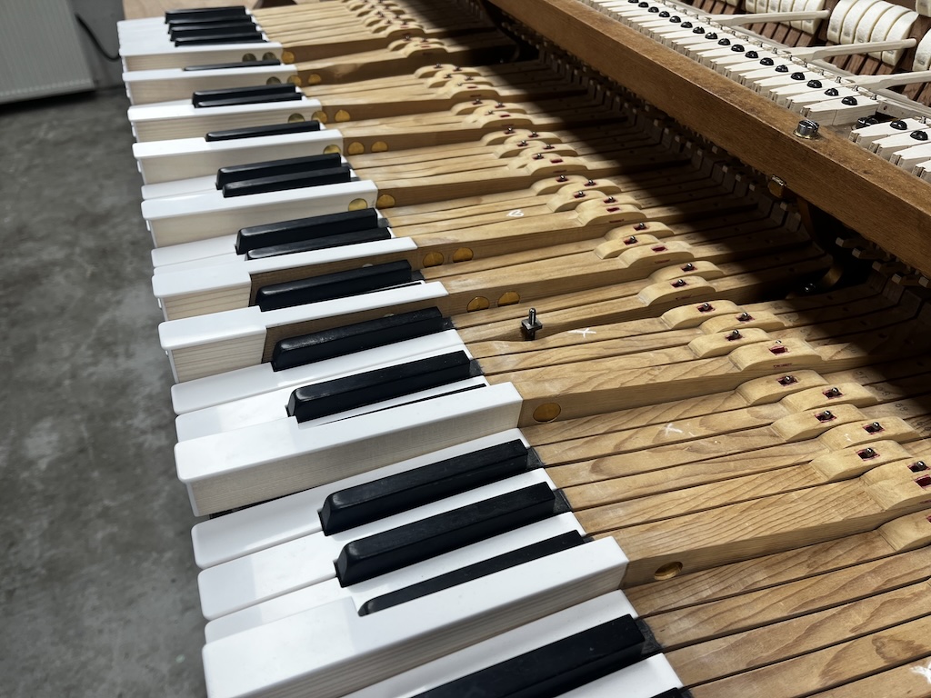 Bechstein IV gereviseerd